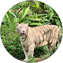 Win ko oo profile picture