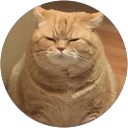 nanami’s dog profile picture