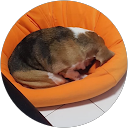 Spud profile picture