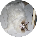 Mohammad Nordin profile picture