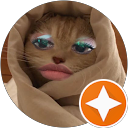 Little Cat profile picture